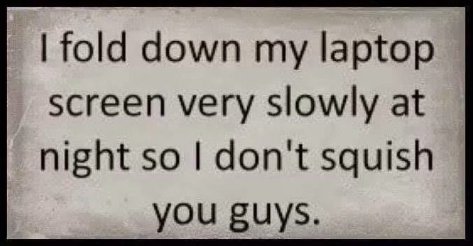 I fold down my laptop  screen very slowly at  night so I don't squish  you guys.