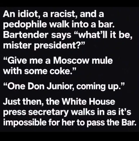 An idiot, a racist, and a pedophile walk into a bar. Bartender says "what'll it be, mister president?" "Give me a Moscow mule with some coke." "One Don Junior, coming up." Just then, the White House press secretary walks in as it's impossible for her to pass the Bar.