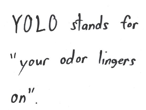 YOLO stands for 'your odor lingers on".