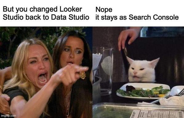 Unhappy woman on left lanel saying But you changed Looker Studio back to Data Studio. Smug cat on right says: Nope it stays as Search Console