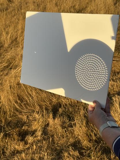 White board being held over straw coloured grass with the eclipse showing through the pinhole and to the right the colander! 